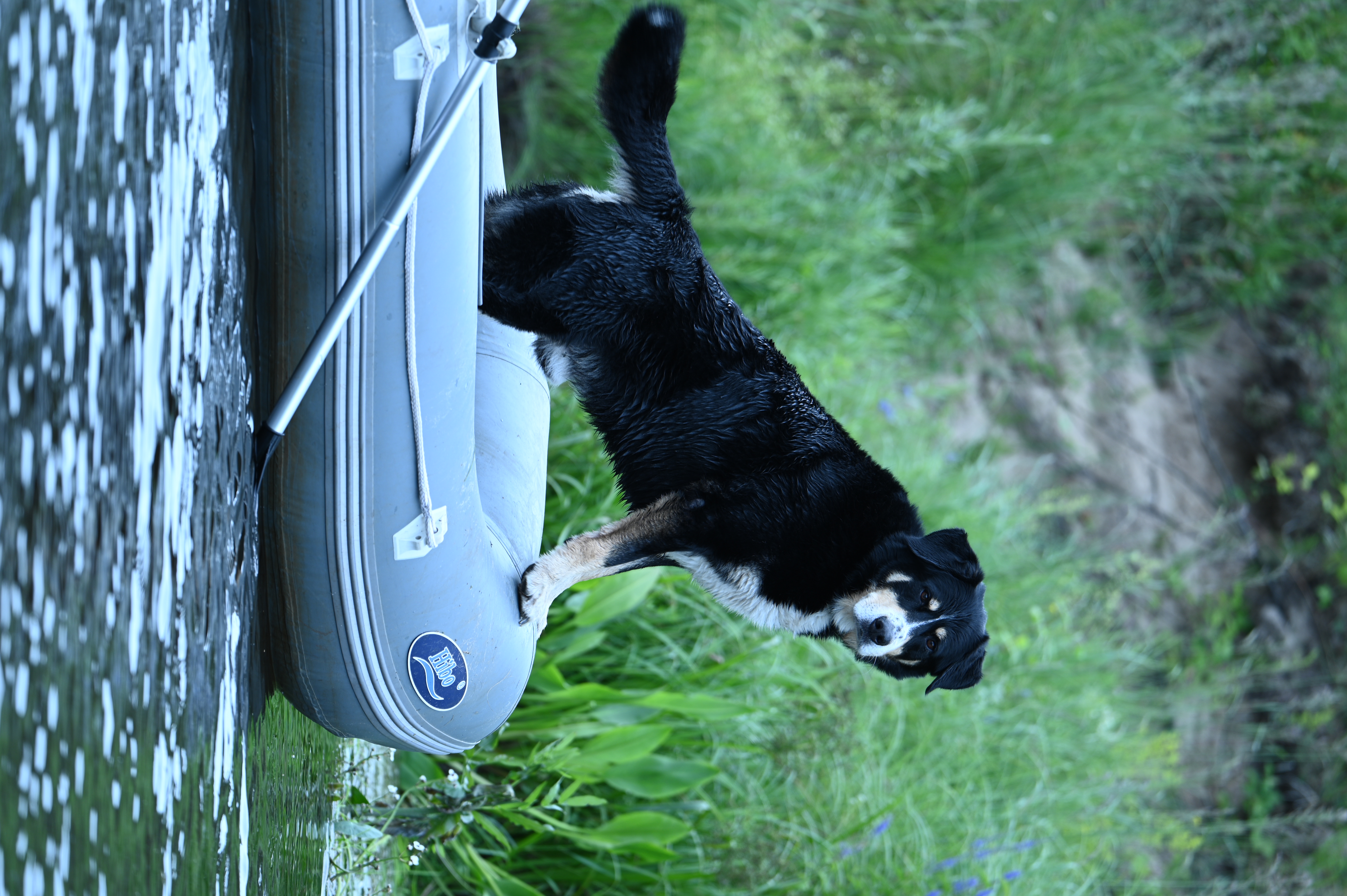 2025/07/09-14 - trip/DSC_0229.JPG